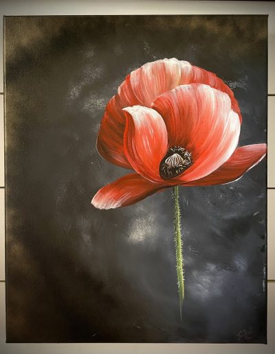 Rising Poppy- 16x20 on stretched canvas- $300