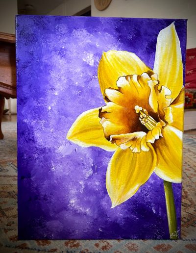 Daffodil - 16x12 on stretched canvas- $200